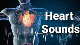 Heart Sounds Collection [upl. by Abbi710]