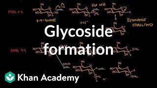 Carbohydrate  Glycoside formation hydrolysis  Chemical processes  MCAT  Khan Academy [upl. by Jopa761]