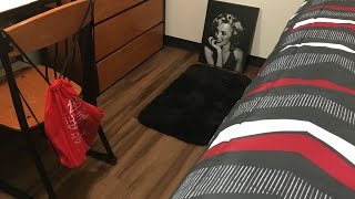 My Dorm Tour Lamar University A Guys Room [upl. by Claiborne]