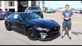 Is the 2019 Ford Mustang GT Performance Pack a GOOD daily driver [upl. by Aidnama771]