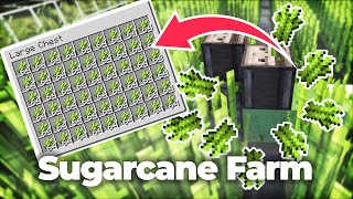 How to Build a Super Efficient Sugarcane Farm in Minecraft [upl. by Attenweiler]