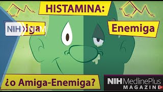 ¿Qué son las alergias a los alimentos Inmunoglobulina E hipersensibilidad [upl. by Enileuqaj325]