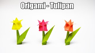 Origami  Tulipan REMAKE [upl. by Kono30]