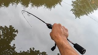 Lure Fishing UK 🇬🇧 Catching ZANDER PERCH amp PIKE [upl. by Arther]