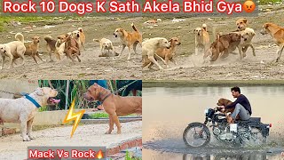 Rock Ko Mack Se Milvane Le Gye🔥Rock 10 Dogs K Sath Akela Bhid Gya😰Panga Hogya Yamuna Nadhi Par🐶 [upl. by Kore]