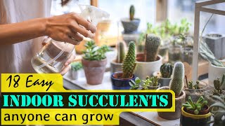 18 Easy Indoor Succulents Anyone Can Grow [upl. by Glenna]