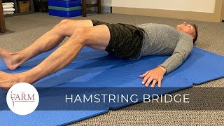 Hamstring Bridge Progressions [upl. by Nylitsirk]