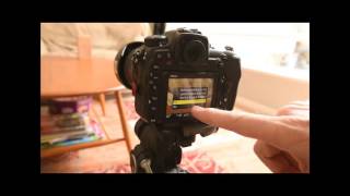 Nikon D500 AF Calibration tutorial [upl. by Enoyrt410]