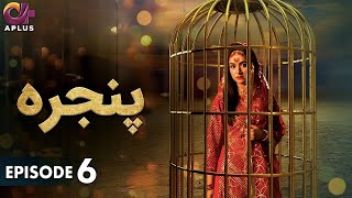 Pakistani Drama  Pinjra  Episode 6  Aplus Gold  Yumna Zaidi Nauman Aijaz  CZ1O [upl. by Itnahs]