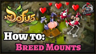 Dofus Guide – How to Breed Dragoturkey Mounts Breeding made EASY [upl. by Franck]