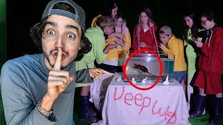 Compré una TARANTULA en LA DEEP WEB [upl. by Annayat]