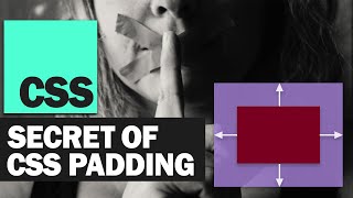 The Secret CSS Padding Trick [upl. by Atekan]