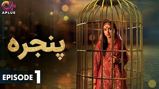 Pakistani Drama  Pinjra  Episode 1  Aplus Gold  Yumna Zaidi Nauman Aijaz  CZ2O [upl. by Nyladnohr]