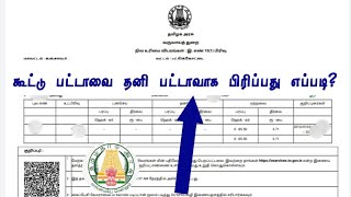 கூட்டு பட்டா கவலையாJoint Patta to தனி பட்டாவாக பிரிப்பது எப்படி [upl. by Avril]