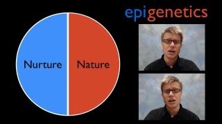 Epigenetics A Timeline [upl. by Lilllie991]