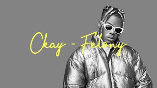 CKAY  FELONY Lyrics Video [upl. by Ariaec]