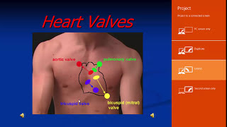 Echo Assessment of Valvular Heart Diseases Dr Sameh Samir [upl. by Mauve]