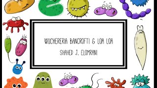 Wuchereria Bancrofti amp Loa Loa [upl. by Mathia]