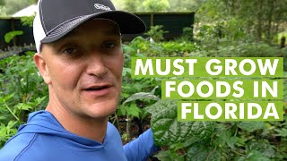 10 Top Plants for a Food Garden in Subtropical Climates Florida Gardening [upl. by Gertruda]