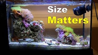 The Truth about the Fluval Evo V  Size [upl. by Naig]