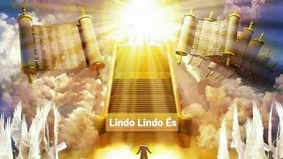 LINDO LINDO ÉS  Música Com Letra [upl. by Dex]