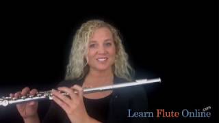 Beginner Flute lessons [upl. by Kile]