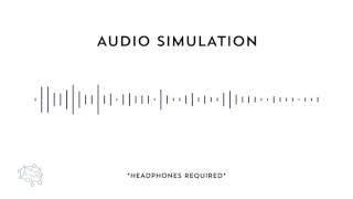 Auditory Processing Disorder Simulation [upl. by Eeltrebor582]