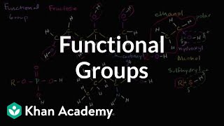 Functional groups  Properties of carbon  Biology  Khan Academy [upl. by Ahsias]