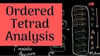 Tetrad AnalysisPart IOrdered Tetrad Analysis [upl. by Yruok]