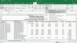 Using Freeze Panes to Keep RowColumn Headings Visible in Excel [upl. by Aicertal706]