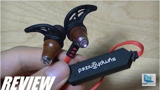 REVIEW Symphonized NRGW 20 Wood Bluetooth Earphones [upl. by Fotzsyzrk]