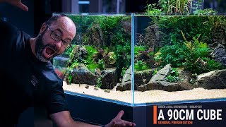 90CMCUBE PLANTED TANK WITH A SUMP FILTRATION AND EASY AQUATIC PLANTS [upl. by Tnerb]