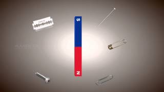 Magnetism  Class 10 Tutorial [upl. by Yennek]