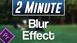 Easy Blur Effect Tutorial  Premiere Pro 2021 [upl. by Kemppe]