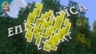 Enigmatica 6 Expert EP21  Starting Up Natures Aura  Minecraft 116 [upl. by Urita]