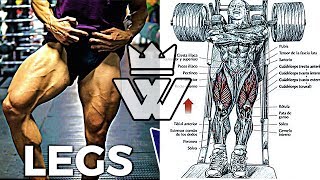 Full Leg Workout  20 Exercises for Strong Legs [upl. by Honna]