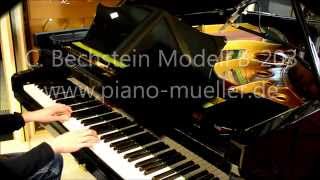 C Bechstein Modell B 203 [upl. by Yeldua565]