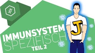 Spezifische Immunabwehr 2  Immunsystem [upl. by Nairehs762]