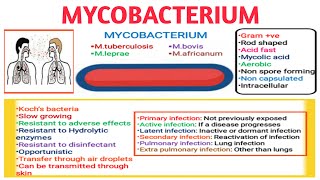 Mycobacterium leprae  an Osmosis Preview [upl. by Coniah]