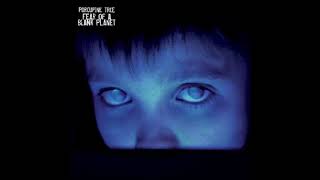 Porcupine Tree  Fear of a Blank Planet 2007 Full Album [upl. by Ekul653]