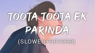 Toota Toota Ek Parinda  Kailash kher  Music Lyrics [upl. by Iralam734]