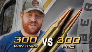 300 Win Mag vs 300 PRC  Why are People Buying this Cartridge [upl. by Sergius]