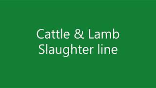 Cattle amp Lamb Slaughter Line Complete abattoir [upl. by Rillis]