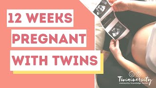 12 Weeks Pregnant with Twins Symptoms and More [upl. by Nylehtak]