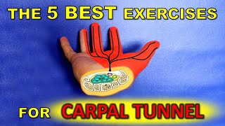 THE 5 BEST Carpal Tunnel Exercises Gamers Do These [upl. by Salchunas]