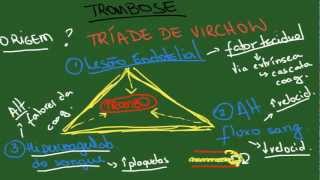 TROMBOSIS y EMBOLIA ¿Qué son vascular [upl. by Ivory]