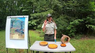 Tree Growth Rings educational program [upl. by Flanagan]