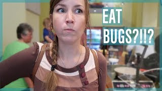 Eating Bugs Insectarium in New Orleans [upl. by Aitnuahs]