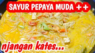 CARA MEMASAK SAYUR PEPAYA MUDA  Resep Sayur Lodeh Pepaya Muda [upl. by Convery141]