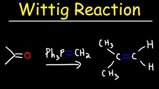 Wittig Reaction Mechanism [upl. by Hendrix]